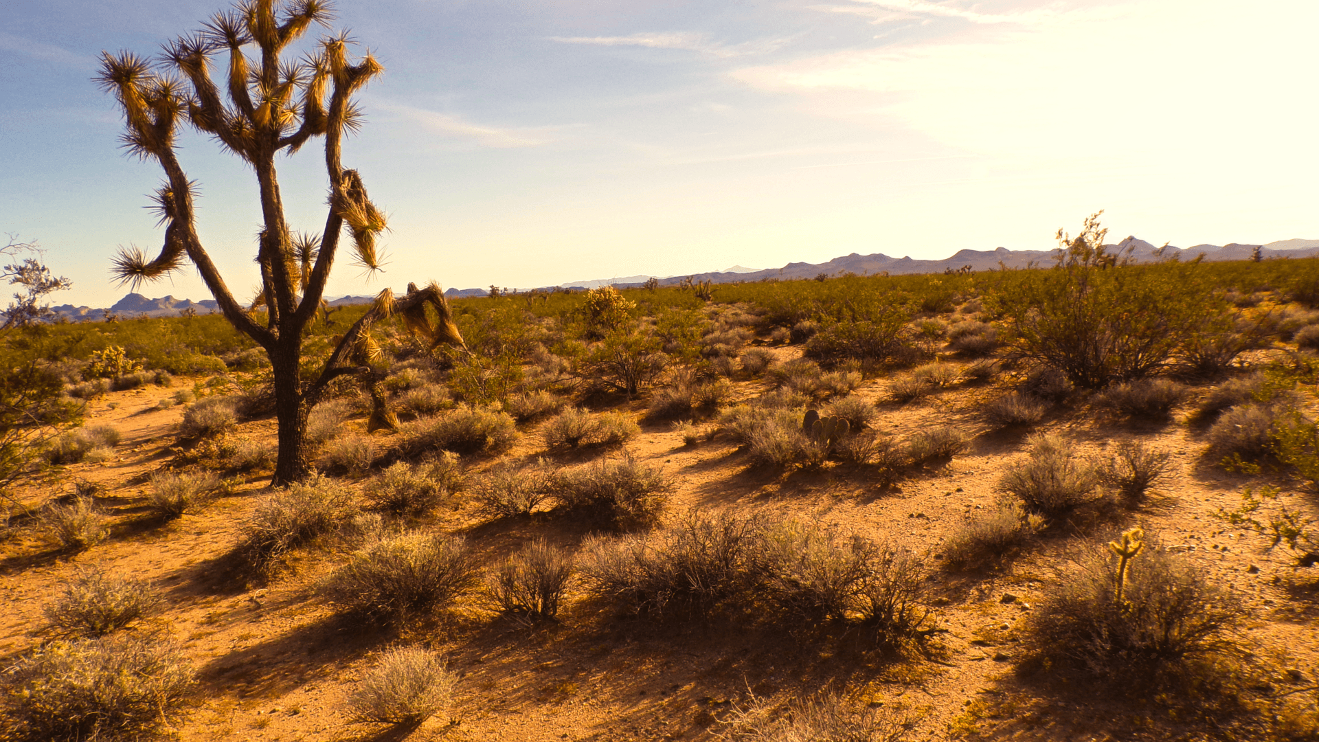 Golden Valley Ranchos - 2.35 Acres Mohave County, Arizona · APN 208-21-266 — Mohave County land for sale